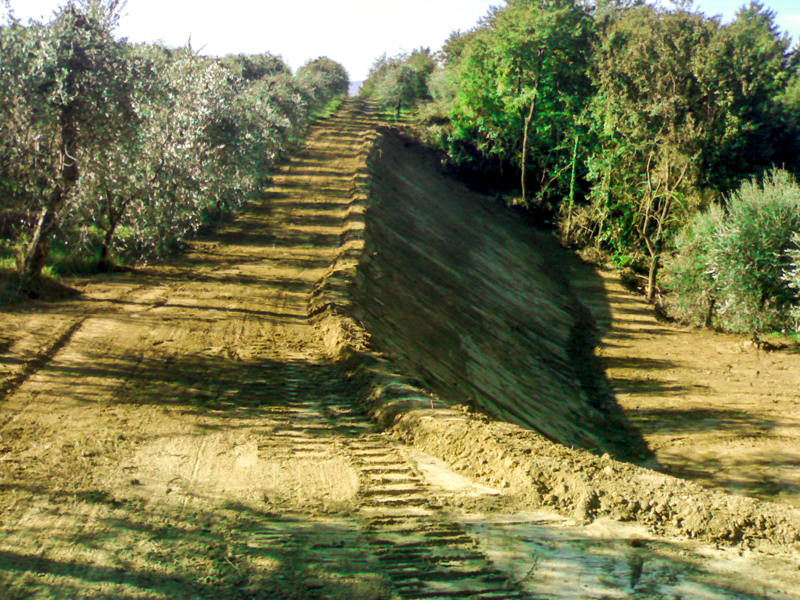 Consolidamento frane e stabilizzazione di versanti