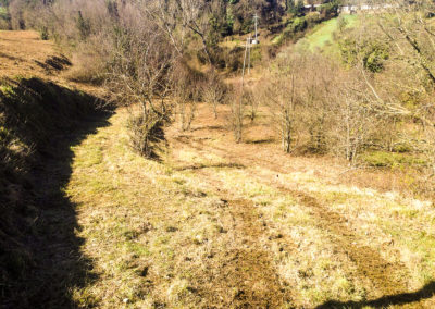 Deforestazioni (1)