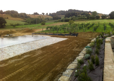 Realizzazione e manutenzione giardini (12)