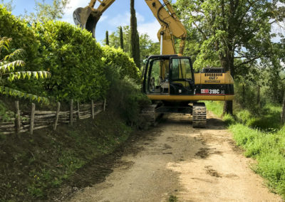 Realizzazione e manutenzione giardini (4)