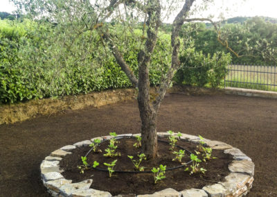 Realizzazione e manutenzione giardini (6)