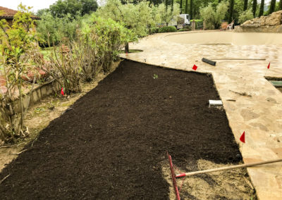 Realizzazione e manutenzione giardini (9)