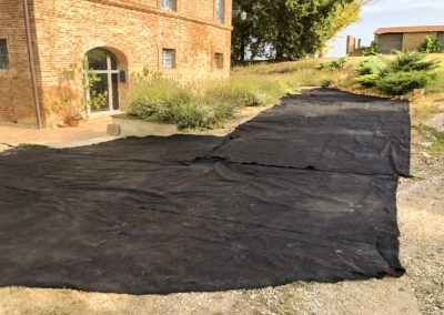 Realizzazione e manutenzione strade (5)